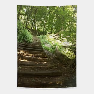 forest Tapestry