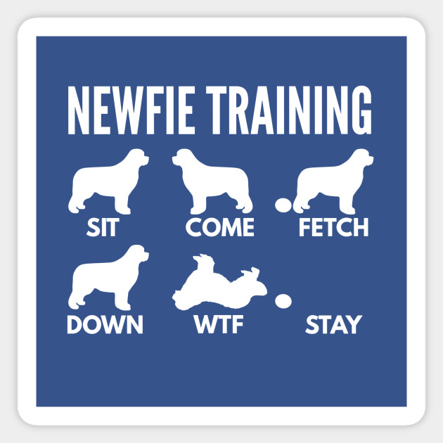 Newfoundland Training Newfie Dog Tricks - Newfoundland - Sticker
