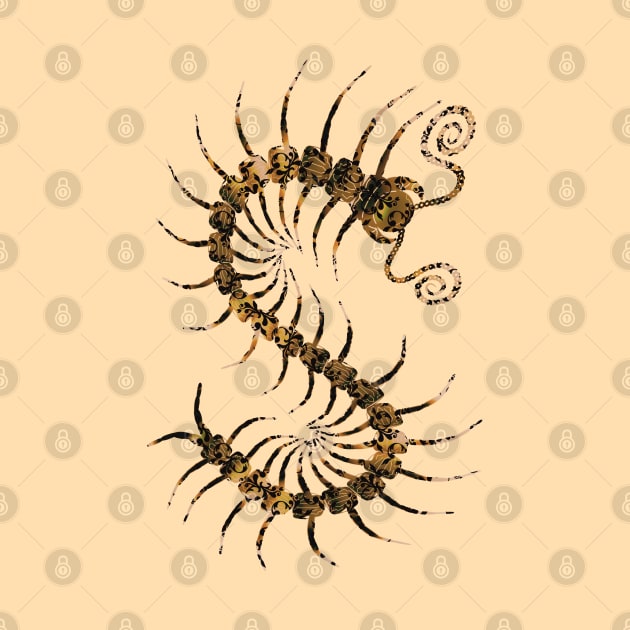 Black on Yellow Ornate Centipede by IgorAndMore