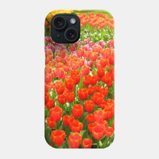 Mixed Tulips, Keukenhof Tulip Festival, Holland Phone Case