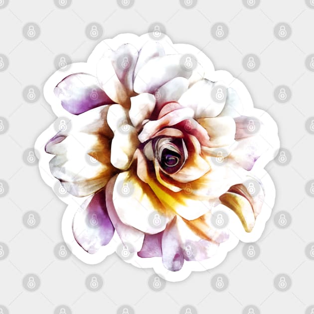 White Rose Magnet by CatyArte