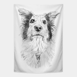 Australian Shepard pencil drawing Tapestry