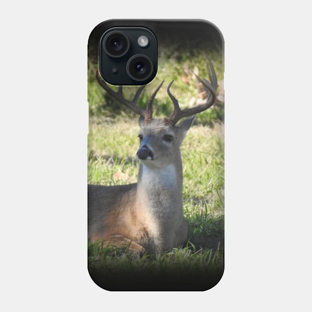 White-tailed Deer Phone Case by Paul Prints