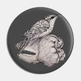 Brown Creeper on Tooth Pin