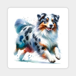 Australian Shepherd - Beautiful Dog Magnet