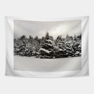 Winter Forest Tapestry