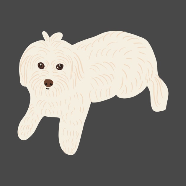 Maltese Poodle by PatternbyNOK