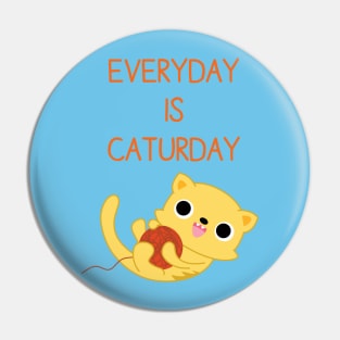 Everyday is Caturday Pin