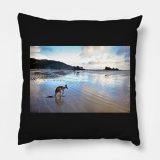 Kangaroo, Cape Hillsborough, Queensland Pillow