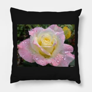 Be Drenched in Tenderness Pillow