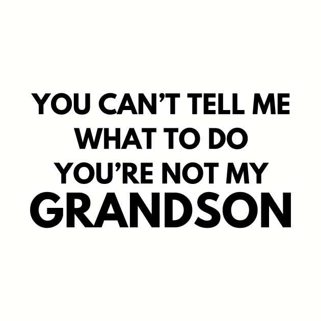 You Can't Tell Me What To Do You're Not My Grandson by aesthetice1