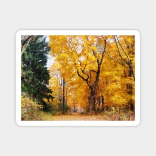 Autumn Path Magnet