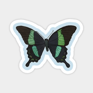 Green Swallowtail Butterfly Magnet