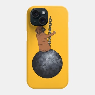 Beauregard is a Wrecking Ball Phone Case