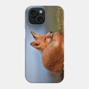 Alert Red Fox Kit Phone Case