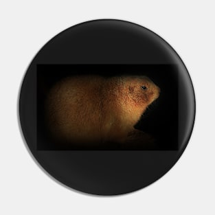 Mr Prairie Dog Pin