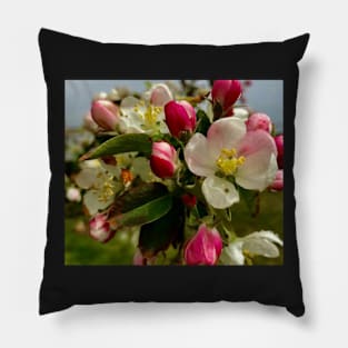 Springtime blossoms Pillow