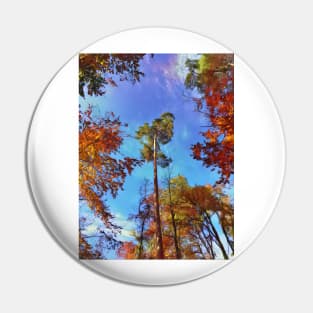 Tops of tress in an autumn setting Pin