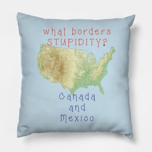 What Borders STUPIDITY - Canada and Mexco - map of USA Pillow