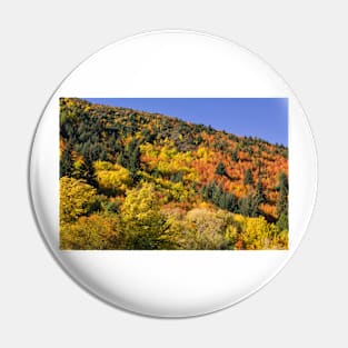 Arrowtown Colour Pin