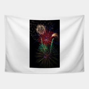 Fireworks Bursting Colors In The Night Tapestry