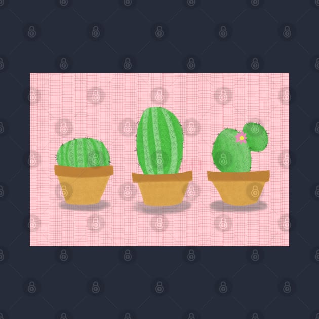 3 little cacti by Charlotsart