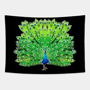 Proud as a Peacock Tapestry