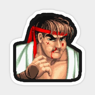 Ryu Magnet