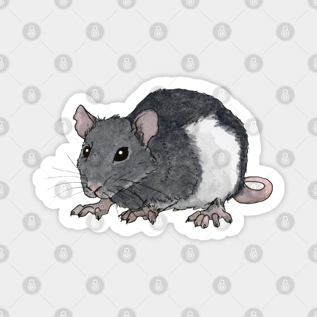 Black and white rat Magnet by Savousepate