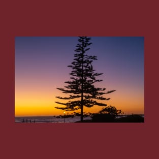 Namibia. Swakopmund. Tree. Sunset. T-Shirt