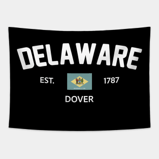 Delaware Collegiate Preppy Tapestry