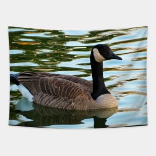 Canada Goose Swimming Tapestry