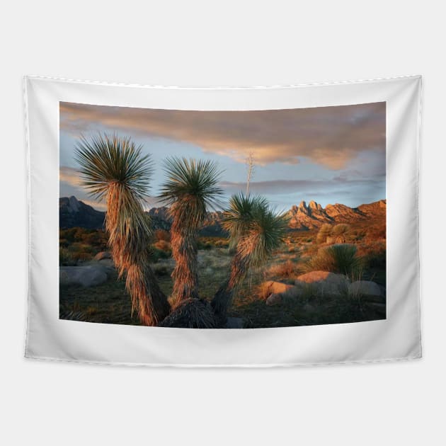 Yucca And Organ Mountains Near Las Cruces Tapestry by AinisticGina