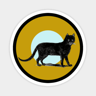 Halloween Black Cat, Signs and Symbols - Ochre and Pale Blue Magnet