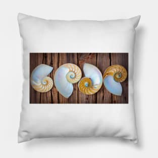 Four Chambered Nautilus Seashells Pillow