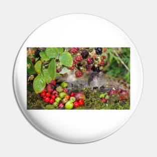 Little mouse and brambles Pin