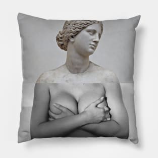 Aphrodite X @kyliejenner Pillow