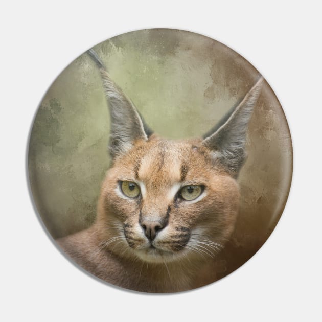 Pin on CARACAL