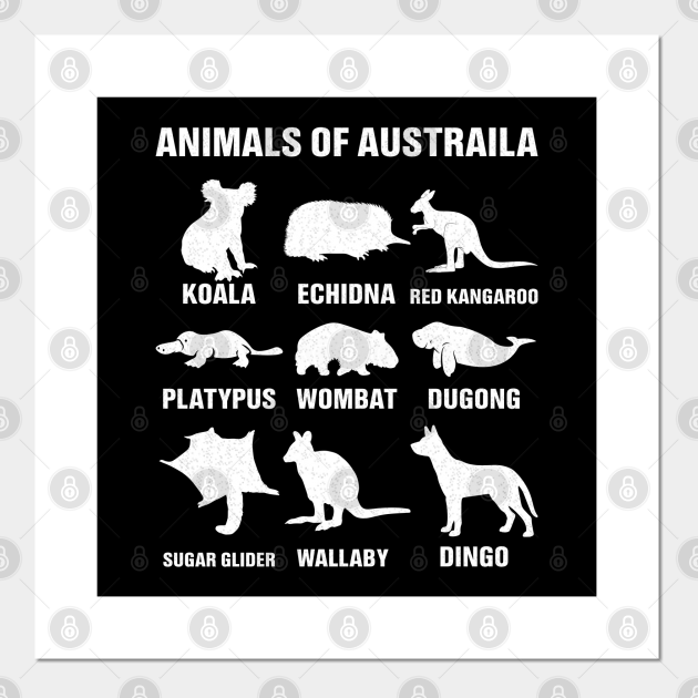 Animals of Australia Funny Australian Animal Lover Men Women - Australian Animals Lover Gifts - Posters and Art Prints | TeePublic Animals of Australia Funny Australian Animal Lover Men Women - Australian Animals Lover Gifts - Posters and Art Prints | TeePublic