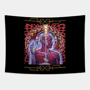 Tool Band Schism Albumart lateralus Tapestry