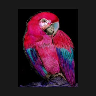 BRIGHT PINK TROPICAL PARROT MACAW DECO POSTER DRAWING PRINT ART T-Shirt