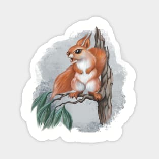 Cute squirrel Magnet