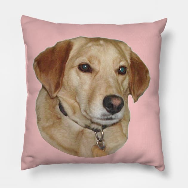 I love mix dogs Pillow by milicapetroviccvetkovic