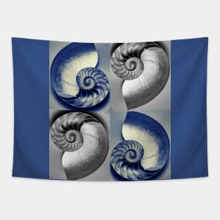 Coiled Tapestry