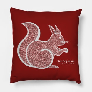 Red Squirrel with Common and Scientific Names - hand drawn animal Pillow