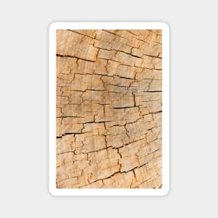 Naturally cracked wood Magnet