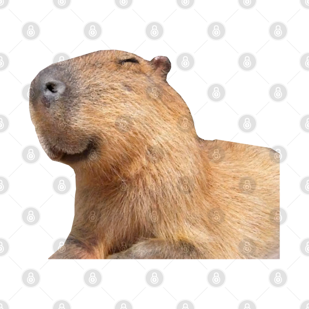 Discover Happy Capybara - Capybara - T-Shirt