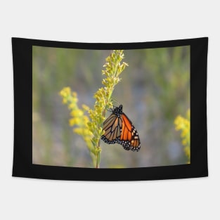 Monarch feeding on Goldenrod Tapestry