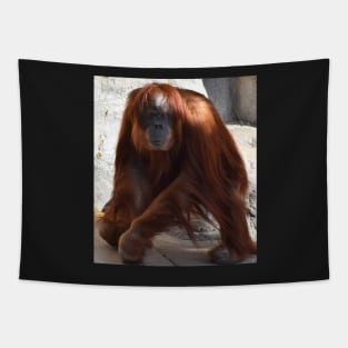 Orangutan Tapestry