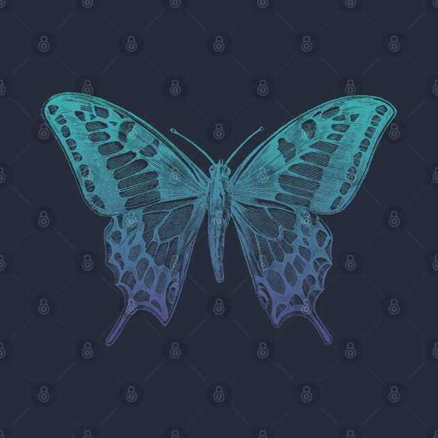 Blue butterfly by Blacklinesw9